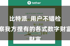 比特派 用户不错检察我方捏有的各式数字财富