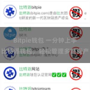 Bitpie钱包 一分钟上手比特派钱包，轻松管理多链资产