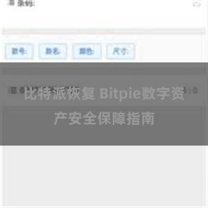 比特派恢复 Bitpie数字资产安全保障指南