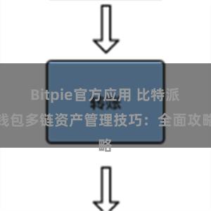 Bitpie官方应用 比特派钱包多链资产管理技巧：全面攻略