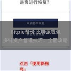 Bitpie备份 比特派钱包多链资产管理技巧：全面攻略