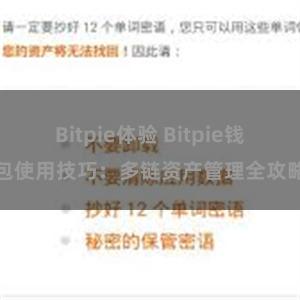 Bitpie体验 Bitpie钱包使用技巧：多链资产管理全攻略