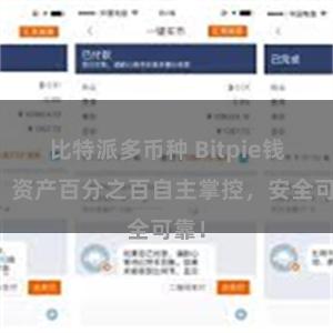 比特派多币种 Bitpie钱包：资产百分之百自主掌控，安全可靠！