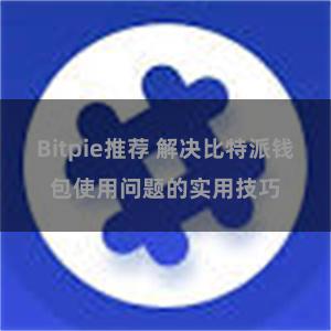 Bitpie推荐 解决比特派钱包使用问题的实用技巧