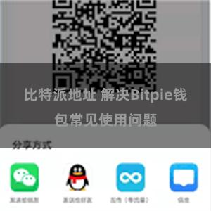 比特派地址 解决Bitpie钱包常见使用问题