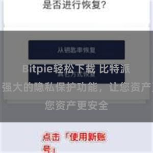 Bitpie轻松下载 比特派钱包：强大的隐私保护功能，让您资产更安全