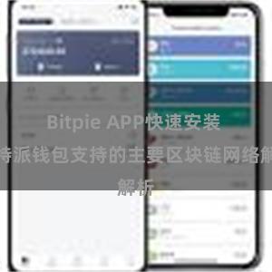 Bitpie APP快速安装 比特派钱包支持的主要区块链网络解析