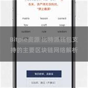 Bitpie资源 比特派钱包支持的主要区块链网络解析