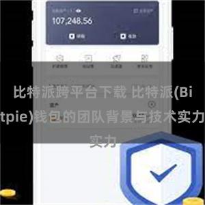 比特派跨平台下载 比特派(Bitpie)钱包的团队背景与技术实力