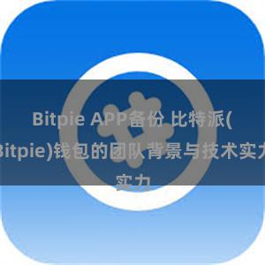 Bitpie APP备份 比特派(Bitpie)钱包的团队背景与技术实力