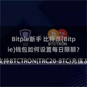 Bitpie新手 比特派(Bitpie)钱包如何设置每日限额？