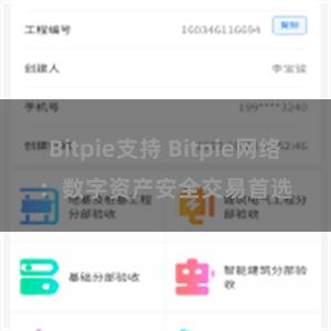 Bitpie支持 Bitpie网络：数字资产安全交易首选